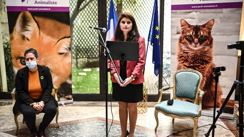 Hélène Thouy, coprésidente du Parti animaliste, annonce sa candidature à l'élection présidentielle, le 1er juillet 2021.