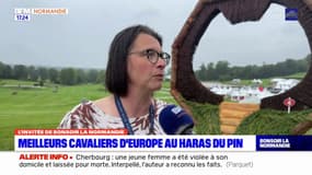 Orne: des animations en marge du concours d'équitation