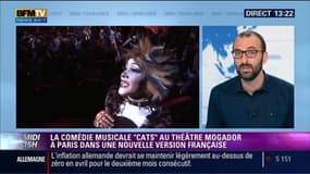 Le célèbre spectacle musical "Cats" revient en France à la rentrée