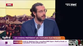 Les histoires de Charles Magnien : Les chiens préfèrent les voitures électriques - 09/01