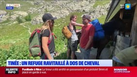 L'été chez nous du jeudi 22 août : Tinée, un refuge ravitaillé à dos de cheval