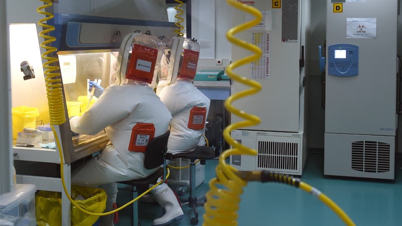 Une équipe médicale travaille dans la nouvelle aile du laboratoire P4 de l'Inserm, à Lyon, le 11 mai, 2015.