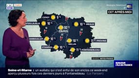 Météo Paris-Île-de-France: un vendredi ensoleillé, jusqu'à 9°C attendus à Paris