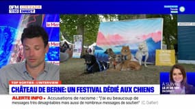 Top Sorties Nice du vendredi 14 avril 2023 - Château de Berne : un festival dédié aux chiens