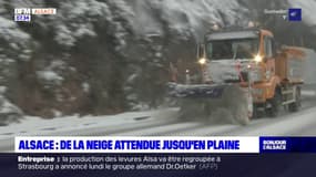 Alsace: la neige attendue jusqu'en plaine 