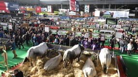 Salon de l'agriculture