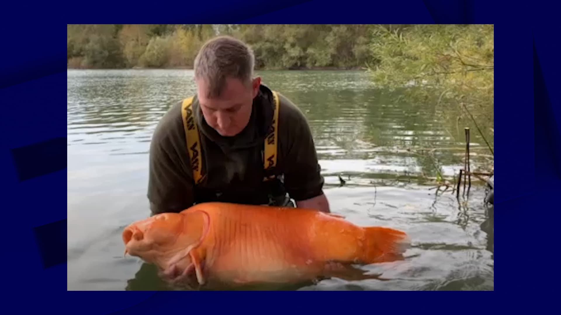 Aube: un Anglais pêche l'un des plus gros poissons rouges du monde