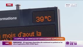 Canicule : records battus dans le Sud-Ouest, jusqu’à 43,1°C à Captieux