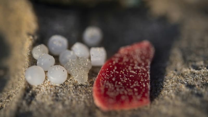 Seine-Maritime: une pollution aux microbilles identifiée sur une plage
