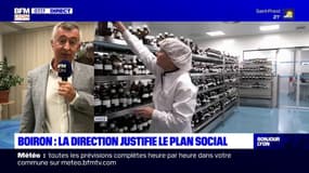 Plan social: Boiron "fait tout pour obtenir un moratoire" sur le déremboursement de l'homéopathie