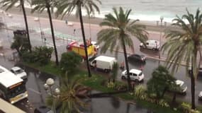 Un palmier tombe sur la Promenade des Anglais à Nice - Témoins BFMTV