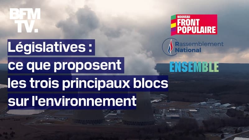 Environnement: ce que proposent les trois principaux blocs dans leur programme pour les législatives