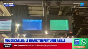 Lille: le trafic des TER reste perturbé après un vol de câbles