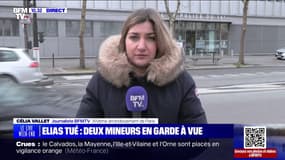 Elias tué pour un portable: qui sont les deux adolescents interpellés? 