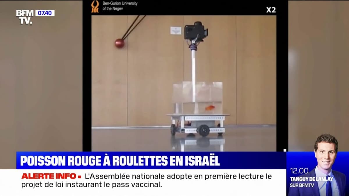 placeholder video