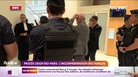 Procès Crash Rio-Paris: l'incompréhension des familles 