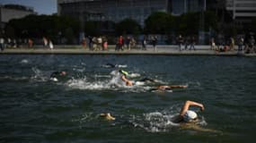 Des nageurs lors d'une course dans la Seine, en juin 2017
