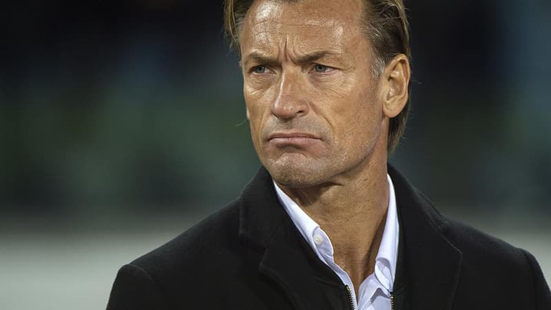 Hervé Renard, entraîneur de l'équipe de football du Maroc, et père de la candidate de Koh-Lanta quiaffirme avoir été agressée sexuellement pendant le tournage du jeu.