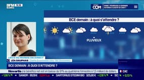 Léa Dauphas (TAC Economics) : L'inflation ralentit plus que prévu dans la zone euro en janvier, à 8,5% sur un an - 01/02