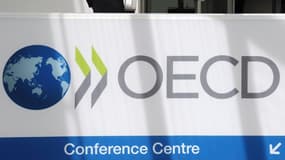 Cette enquête de l'OCDE a été réalisée au printemps et à l'automne 2018 et a pour but "de mieux comprendre ce que les citoyens veulent et ce dont ils ont besoin en matière de politique sociale".

