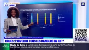 Île-de-France: les experts craignent des crues cet hiver
