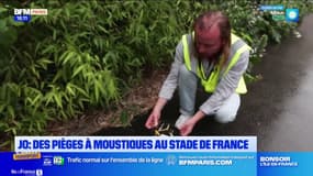 Saint-Denis: des pièges à moustiques au pied du stade de France