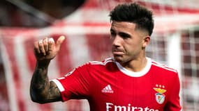 Enzo Fernandez avec le Benfica Lisbonne