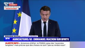 Proche-Orient: "L'objectif de la France est d'accélérer le cessez-le-feu à Gaza, d'obtenir la libération de tous les otages", affirme Emmanuel Macron 