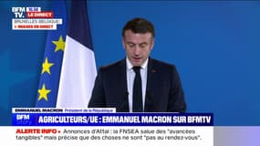 Proche-Orient: "L'objectif de la France est d'accélérer le cessez-le-feu à Gaza, d'obtenir la libération de tous les otages", affirme Emmanuel Macron 