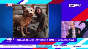 On n'arrête pas le progrès : Réseaux sociaux, attention à cette nouvelle arnaque ! - 09/12