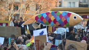 Des milliers de "sardines" manifestent à Rome contre Matteo Salvini