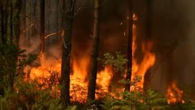 Photo d'un incendie à Landiras, le 16 juillet 2022