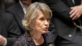Anne Genetet à l'Assemblée nationale le 26 novembre 2024 