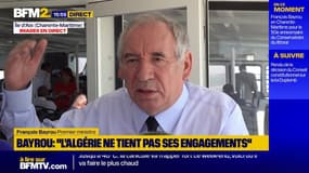 Loi Duplomb: "le gouvernement tirera les conclusions comme il se doit" après la décision du Conseil constitutionnel, assure François Bayrou