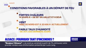 Sécheresse, canicule: les incendies très nombreux en Alsace cet été
