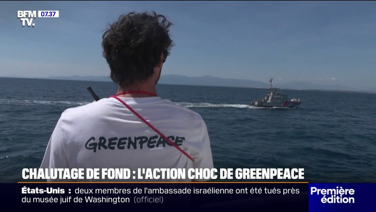 Contre le chalutage de fond, Greenpeace lâche des rochers dans une aire marine protégée dans les eaux françaises