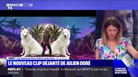 Les chiens de Julien Doré, stars du clip de sa nouvelle chanson "Waf"
