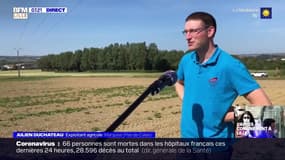 Après un mois de mai extrêmement sec dans la région, les agriculteurs du Nord et du Pas-de-Calais craignent pour leurs récoltes