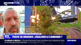 Légalisation du cannabis: "Il faut encadrer la production, la transformation et la diffusion", pour Benoît Biteau (député européen EELV)