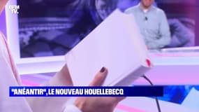 "Anéantir", le nouveau livre de Houellebecq - 06/01