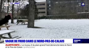 Nord-Pas-de-Calais: une vague de froid attendue dans les prochaines heures 