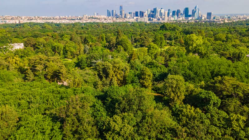 Paris: un jeune né en 2002 placé en garde à vue après un début d'incendie au bois de Boulogne