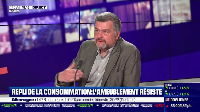 Repli de la consommation: L'ameublement résiste - 29/04