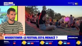 Woodstower: 35.000 festivaliers en 2023, une fréquentation en berne