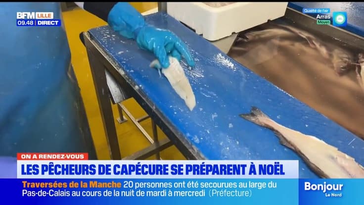 Noël : au coeur de Capécure à Boulogne-sur-mer