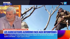 Les cumuls de pluie importants cette année ont globalement bénéficié à l'agriculture des Alpes-Maritimes