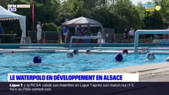 Le waterpolo se développe en Alsace