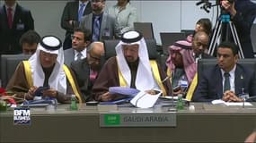 L'OPEP convainc 11 pays non membre à produire moins