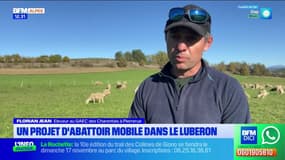 Luberon: vers la création d'un abattoir paysan semi-mobile, une première en France