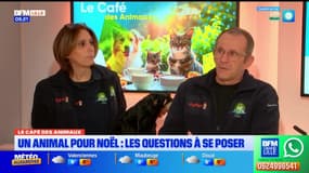 Bonjour Lille du mercredi 3 décembre 2025